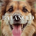 thumbnail image 6 of Burt’s Bees Oatmeal Dog Shampoo, 6 of 10