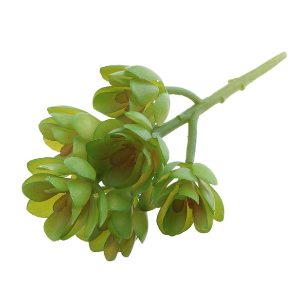 Plantas Suculentas Artificiales Similares A Las Plantas Agave Echeveria Titanota Lotus 2