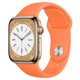 thumbnail image 1 of Correa de silicona para apple watch, correa de 45mm, 44mm, 42mm, 41mm, 40mm, 38mm, 45mm, correa para iWatch series 6 5 4 SE 7 8 ultra 49mm Dengxun unisex, 1 of 2