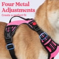 thumbnail image 4 of Chaleco reflectante para perros Rabbitgoo, tamaño mediano, sin tirones, rosa M, 4 of 5