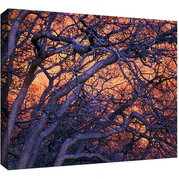Dean Uhlinger "Black Oak Sunset" Gallery-Wrapped Canvas