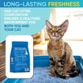 thumbnail image 6 of Crystal Cat Litter - Non-Clumping, Odor Control, Dust-Free - 1 Bag, 6 of 9