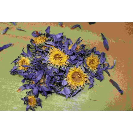 Blue Lotus Loose Leaf Tea 28g (1 Oz)