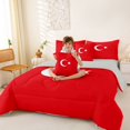 thumbnail image 4 of Manfei Turkey Flag 7-Piece King Bedding,Vintage Patriotic Theme King Bed in a Bag,Red White,Light Gray Reversible, 4 of 7