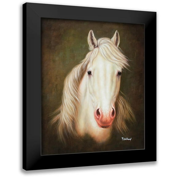 Petrikova, Eva 12x14 Black Modern Framed Museum Art Print Titled - White Horse