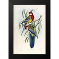thumbnail image 2 of Gould, John 13x18 Black Modern Framed Museum Art Print Titled - Rose Hil Parakeet, 2 of 5