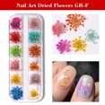 thumbnail image 2 of caja de flores secas mixtas para decoración de uñas, pegatina Floral Natura Labymos  GH-F, 2 of 7