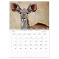 thumbnail image 6 of KRUGER NATIONAL PARK Africa's pearl (Monthly Wall Calendar 2026 16.5 x 23.4 (open)), CALVENDO 14 Month Calendar, 6 of 9
