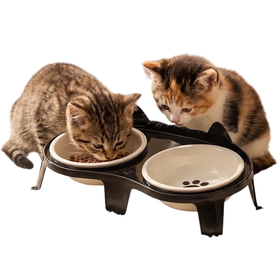 Xingtaoda Ceramic Elevated Cat Food Bowls Set With Plastic Stand, 15° Tilt Anti Vomiting, Whisker Friendly, Non Slip Feeding Bowls For Indoor Cats And Small Dogs(Black)
