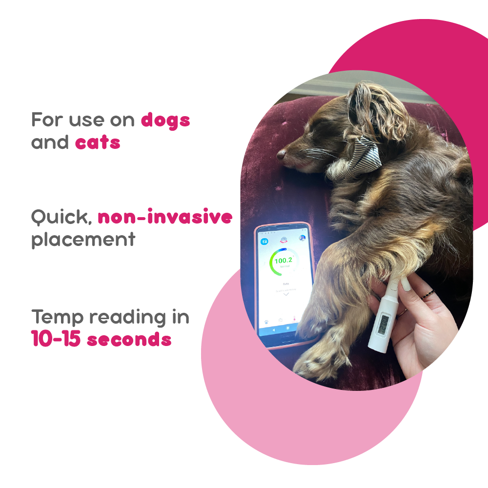 Non-Invasive Underarm Pet Thermometer by Mella Pet Care