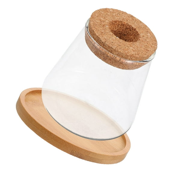 NICEXMAS Hydroponic Glass Fish Bowl Vase with Wooden Lid for Home and Office 1Set