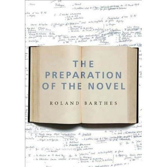 European Perspectives: A Series in Socia The Preparation of the Novel: Lecture Courses and Seminars at the Collège de France (1978-1979 and 1979-1980), (Paperback)