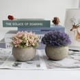 thumbnail image 3 of Realistic Artificial Plants, Mini Potted for Home Decor, Plastic Material Low Maintenance for Office, Environmental Sustainability, Decorative Plants (4PCS), 3 of 5