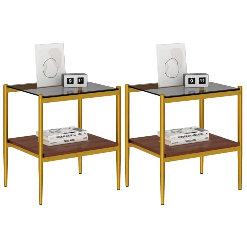 MOONMISS 2 Pack Rectangle End Table, Tempered Glass Top Side Table with MDF Frame, Modern Transparent Glass Accent Table for Living Room, Bedroom, Home Decor, Brown/Gold