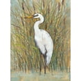 thumbnail image 2 of OToole, Tim 12x14 Black Ornate Wood Framed with Double Matting Museum Art Print Titled - White Egret I, 2 of 4