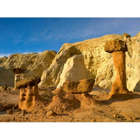 Toadstool Caprocks Grand Staircase Escalante National Monument Utah Poster Print by Tim