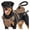 brown, variant on Dog Harness for Large Dogs, With Choke Dog Harness Vest with Easy Control Handle, Reflective Soft Padded Service Vest, Adjustable Easy on Pet Harness for Running Walking