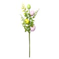 thumbnail image 1 of Esquejes de plantas verdes de huevo de pájaro de Pascua ANGGREK 30 cm, 1 of 8