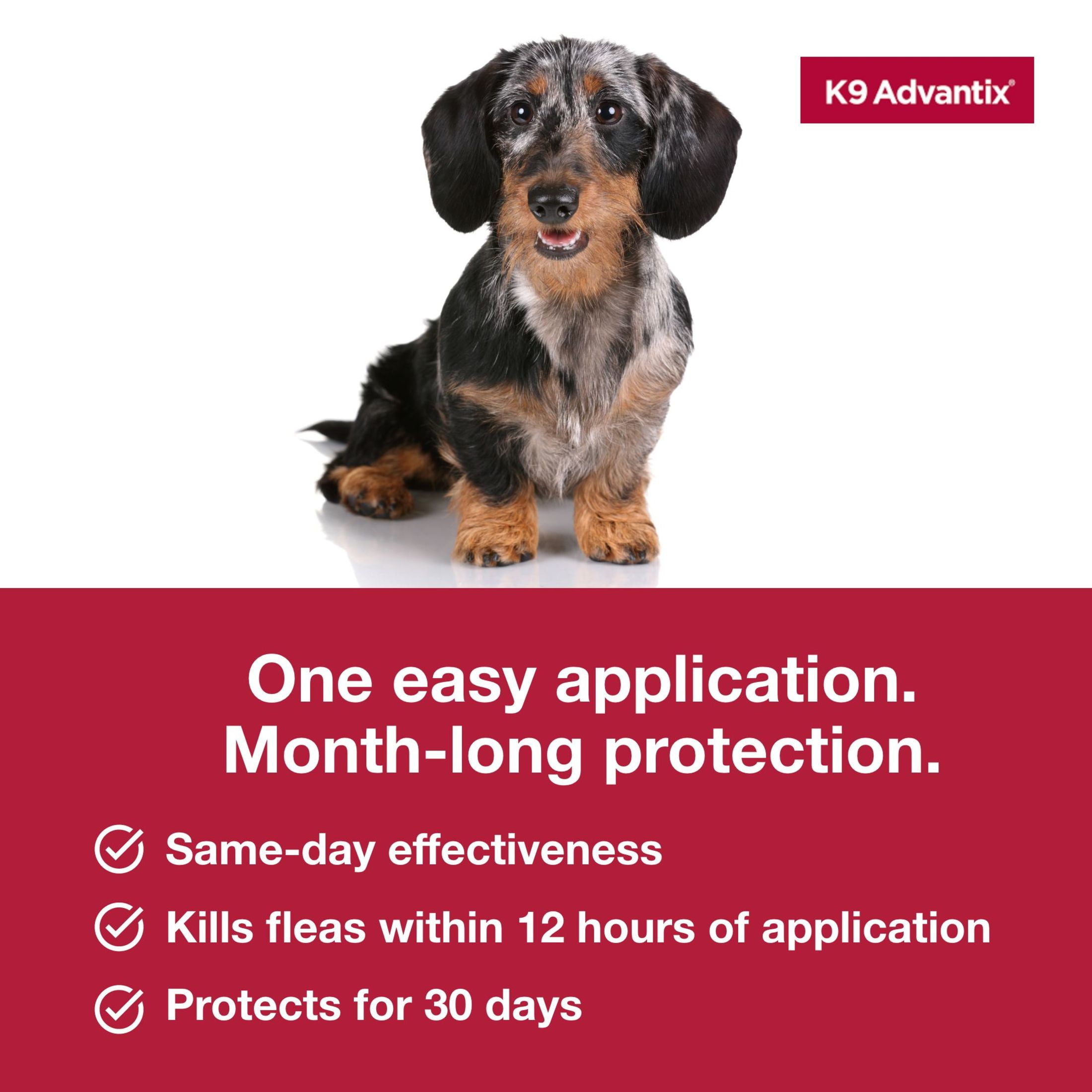 K9 Advantix Flea, Tick & Mosquito Prevention for Small Dogs 4-10 lbs., 2-Monthly Treatments