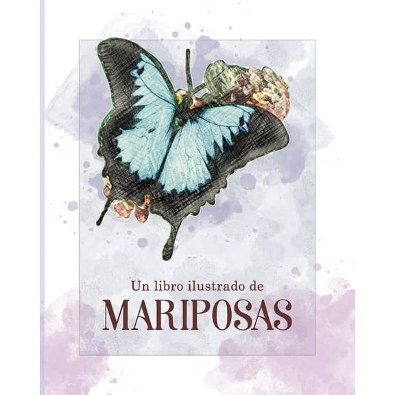 Creando Vivencias: Un Libro Ilustrado de Mariposas (Paperback)