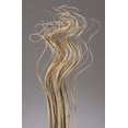 thumbnail image 1 of GreenFloralCrafts Dried Floral Filler Extra Tall Curly Ting-Ting 3.5 ft Tall, Pack of 35-40 pcs, 1 of 4