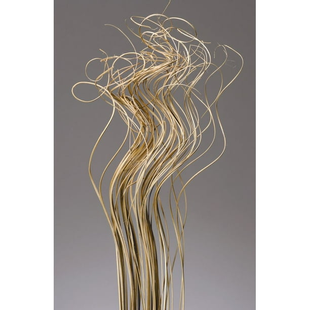 GreenFloralCrafts Dried Floral Filler Extra Tall Curly TingTing 3.5 ft