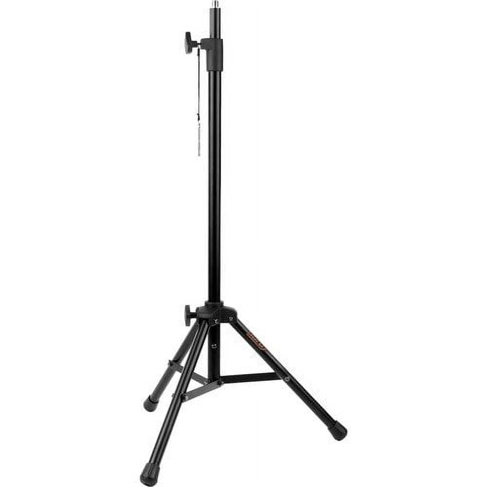Blue Bluebird SL Large-Diaphragm Condenser Studio Microphone with RF-5P-B Reflection Filter and RFMS-580 Reflection Filter Tripod Mic Stand Bundle