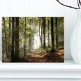 thumbnail image 2 of Designart Green Fall Forest with Sun Rays Canvas Wall Art, 2 of 4