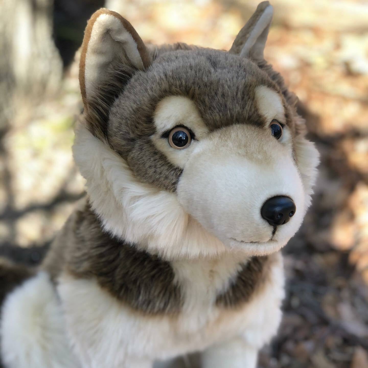 Realistic Husky Dog Stuffed Toys Plush Animals Kids Toys - Temu