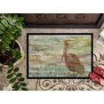 thumbnail image 3 of Carolines Treasures SC2011MAT Tapis d'Intérieur Ou d'Extérieur Pélican Brun 18 x 27 Po, 3 of 4