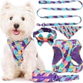 thumbnail image 1 of Arnés para Perro Mediano con Correa Collar Bandana Bolsa, Pechera para Perro Cachorro Sin Tirones para Caminar Viajar Entrenar, Conjunto de Accesorios para Perros, 1 of 4