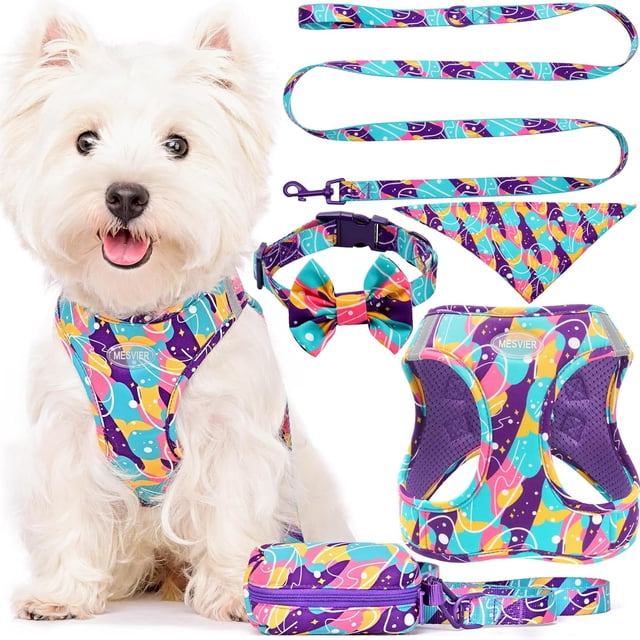Arnés para Perro Mediano con Correa Collar Bandana Bolsa, Pechera para Perro Cachorro Sin Tirones para Caminar Viajar Entrenar, Conjunto de Accesorios para Perros