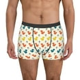 thumbnail image 2 of Goofa Colorful Squirrel Printed Men's Boxer Briefs Underwear, Moisture-Wicking Underwear, Trunk,Soft and Breathable Cotton Underwear-Large, 2 of 9