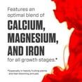 Botanicare Cal-Mag Plus, A Calcium, Magnesium, And Iron Plant ...