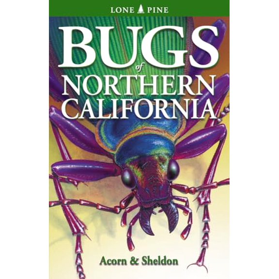 Pre-Owned Bugs of Northern California (Paperback) 1551053209 9781551053202