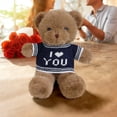 thumbnail image 5 of Uuiauoio Valentines Day Plush Bear Stuffed Bears with Heart Pattern Stuffed Animal for Valentine's Day Gifts Birthday School Graduation Party Favor, 5 of 6