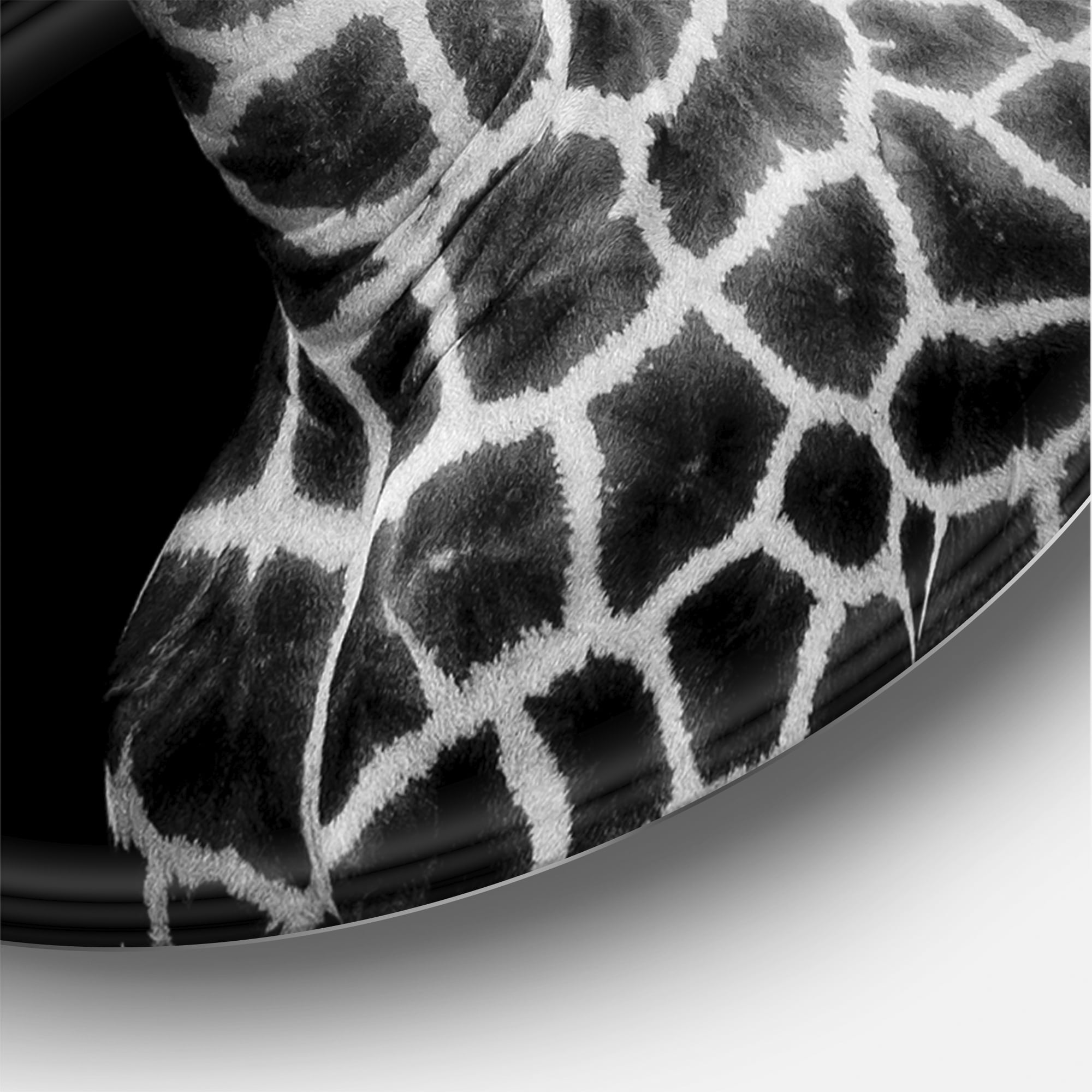 Designart 'Close Up Portrait Of A Giraffe On Black I' Farmhouse Circle Metal Wall Art 36x36 - Disc of 36
