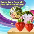 thumbnail image 3 of Vaidha Moules de Croissance en Forme de Cœur pour Fruits de Fraise, 3 of 8