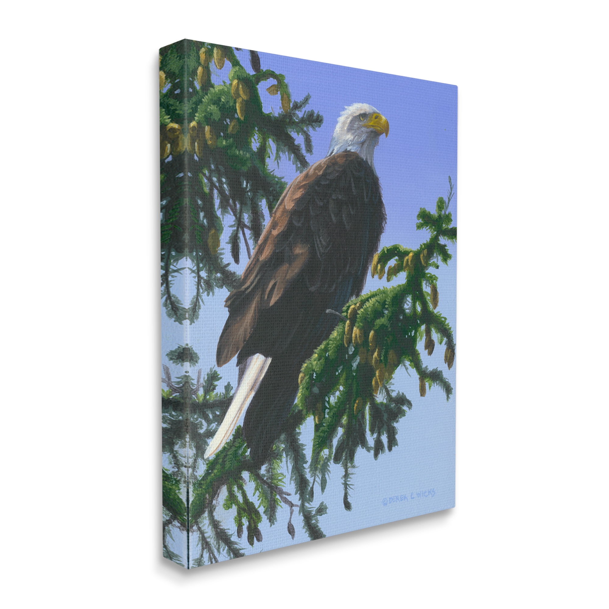Stupell Industries Eagle on Fir Branch Animals & Insects Painting Gallery Wrapped Canvas Art Print Wall Art, 16 x 20