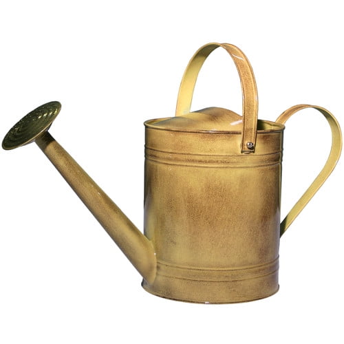 Robert Allen Home and Garden Canyon 2-Gallon Watering Can by Robert Allen Home and Garden