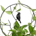 thumbnail image 2 of Plants Climbing Holder Rack Potted Flower Decorative Rack Sturdy Durable Plant Support White 30cm, 2 of 9
