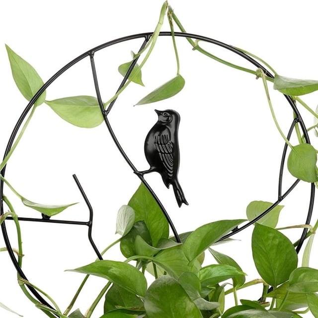 Plants Climbing Holder Rack Potted Flower Decorative Plants Climbing Rack Sturdy Durable Plant Support