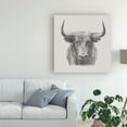 thumbnail image 3 of Trademark Fine Art 'Black Bull' Canvas Art by Ethan Harper, 3 of 4