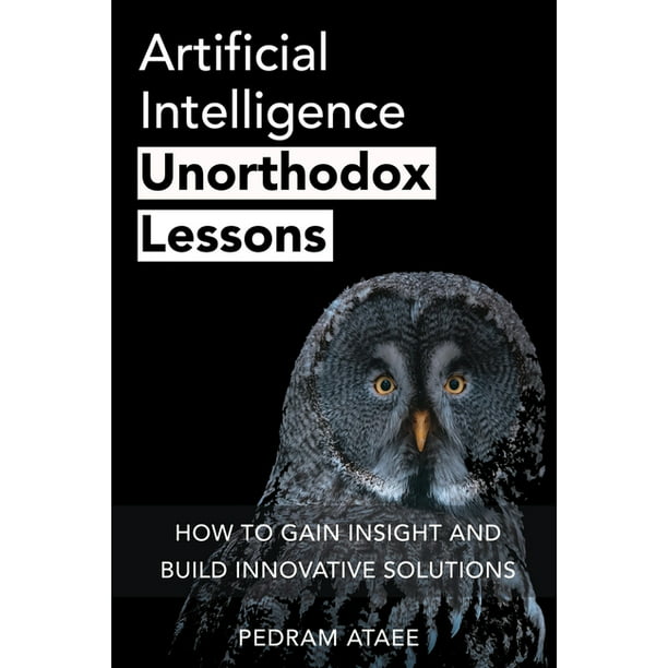 Artificial Intelligence : Unorthodox Lessons: How to Gain Insight and Build  Innovative Solutions (Paperback) 