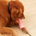 thumbnail image 4 of BlueJuguete para la dentición del perro, ventosa, juguete para remolcar, a prueba de mordeduras, interactivo, saludable, limpieza de dientes para perros, cachorro, mascota, juguete, 4 of 4