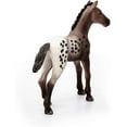 thumbnail image 4 of Appaloosa Foal, 4 of 4