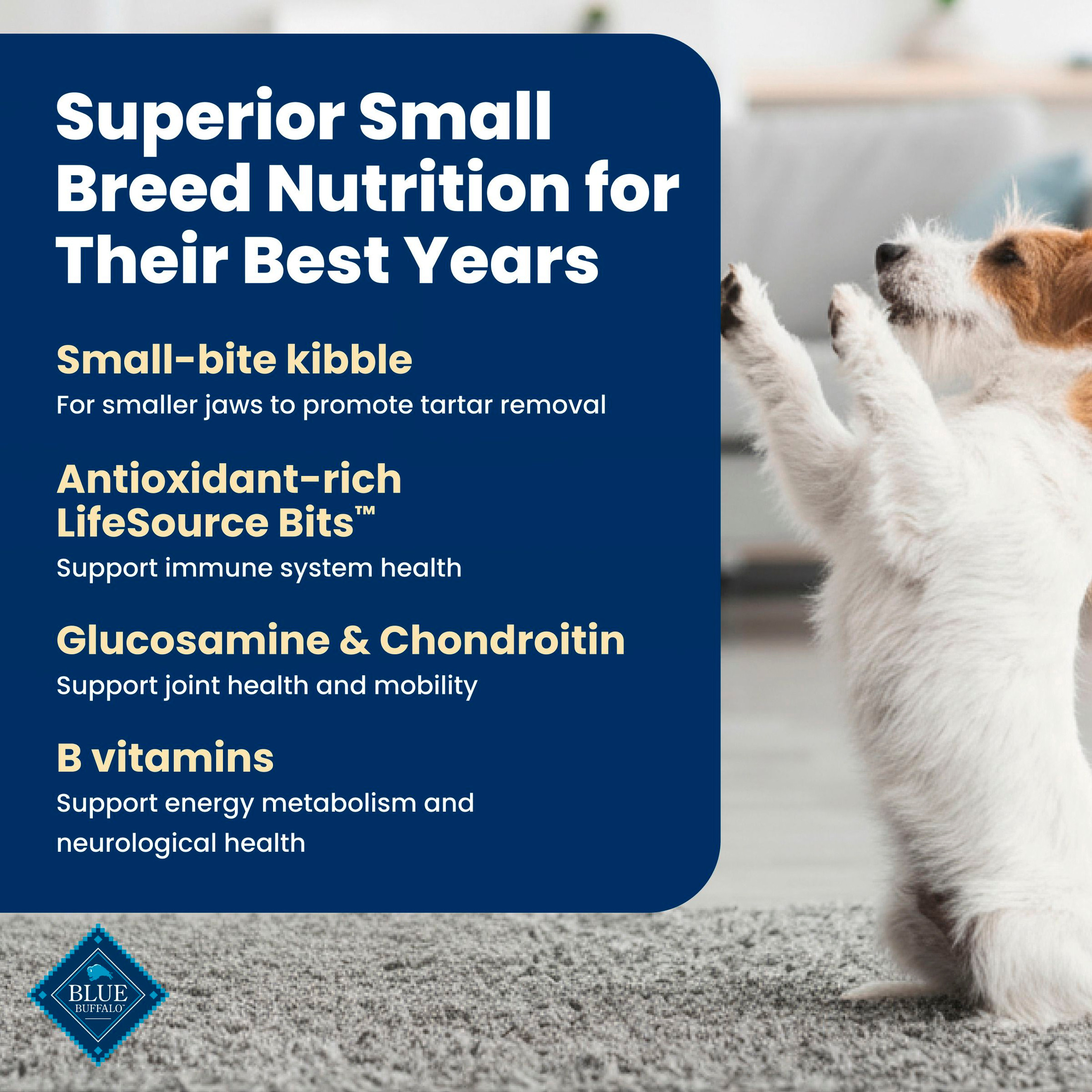 Blue Buffalo Life Protection Small Breed Senior Dog Food, 5 lb photo 4