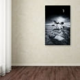 thumbnail image 3 of Trademark Fine Art "Emotional High" Canvas Art by Philippe Sainte-Laudy, 3 of 3