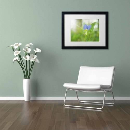 Trademark Fine Art 'Asiatic Dayflower' Canvas Art by PIPA Fine Art, White Matte, Black Frame