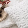 thumbnail image 3 of BLEUM CADE 2 Pack Christmas Throw Pillow Covers 18 x 18 inches,Xmas Decor Snowflake Pillowcases for Couch Sofa,White Plush Cushion Pillow Covers for Christmas Decorations, 3 of 6